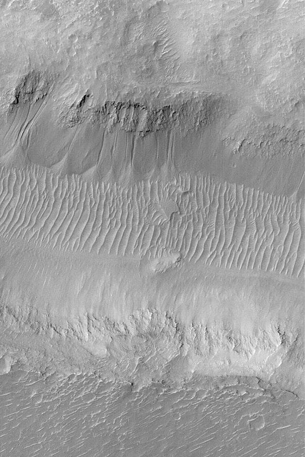 NASA image: Gullies in Nirgal