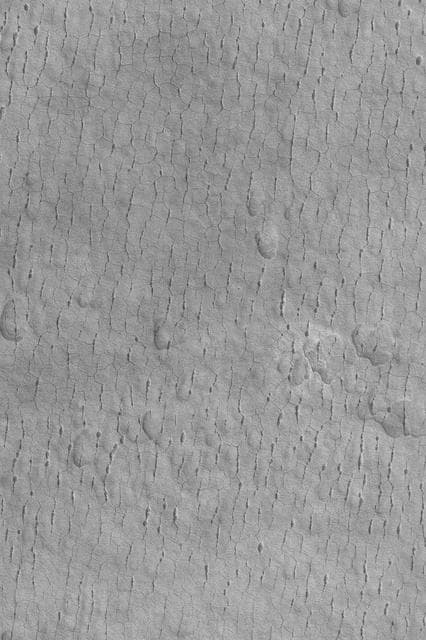 NASA image: Cracked and Pitted Plain