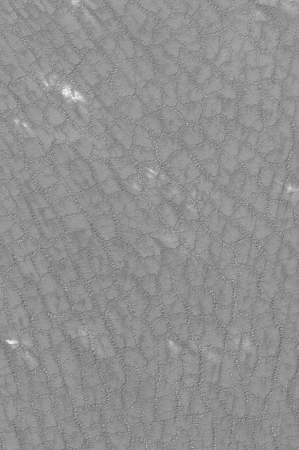 NASA image: Cracked South Polar Plain