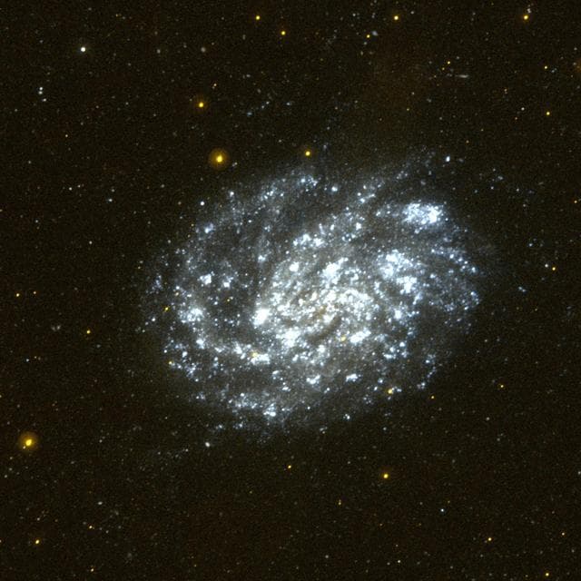 NASA image: Galaxy NGC 300