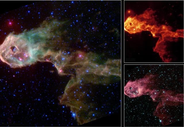 NASA image: Multi-Wavelength Views of Protostars in IC 1396