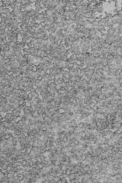 NASA image: Summer South Polar Cap