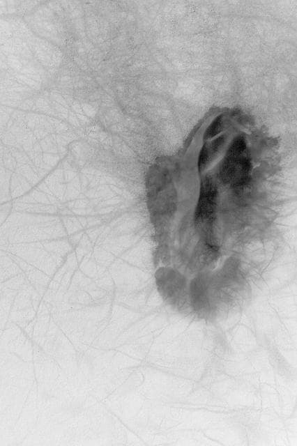 NASA image: Dune and Dust Devil Tracks