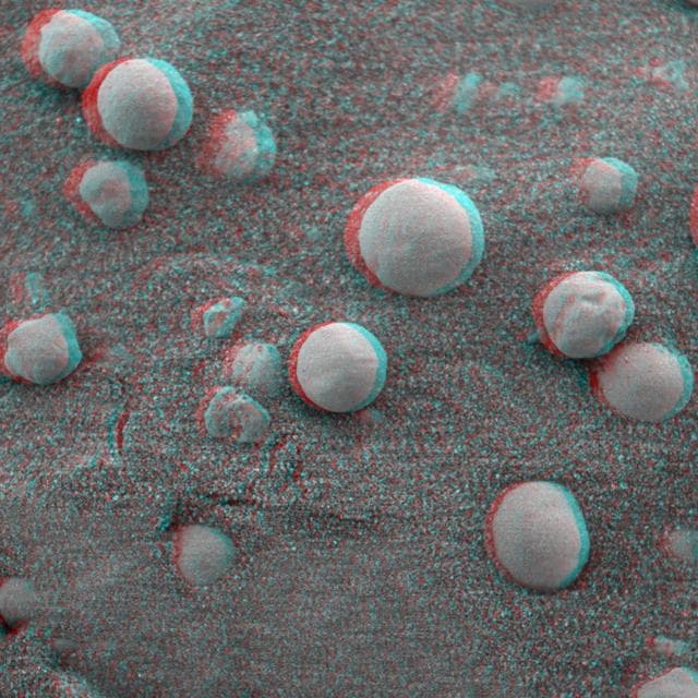 NASA image: Berries on the Ground 2 3-D