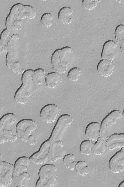NASA image: South Polar Scene