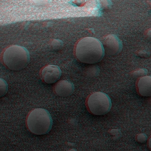 NASA image: Eye-popping Berries