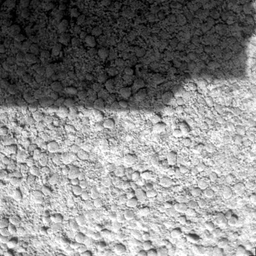 NASA image: Ground Inspection