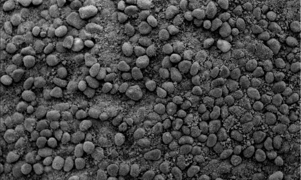 NASA image: The Answer is in the Crests and Troughs -2