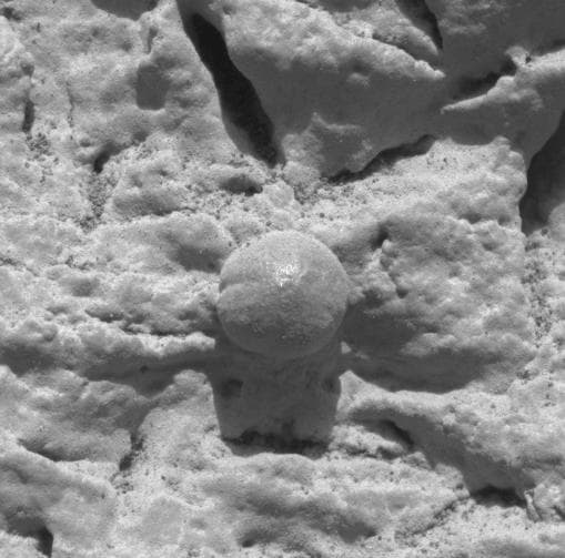NASA image: Focus on El Capitan-2