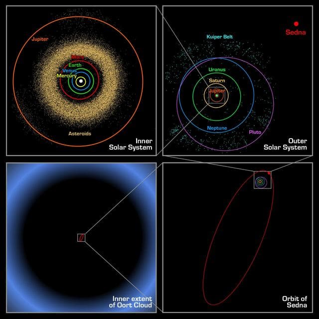 NASA image: Sedna Orbit Comparisons