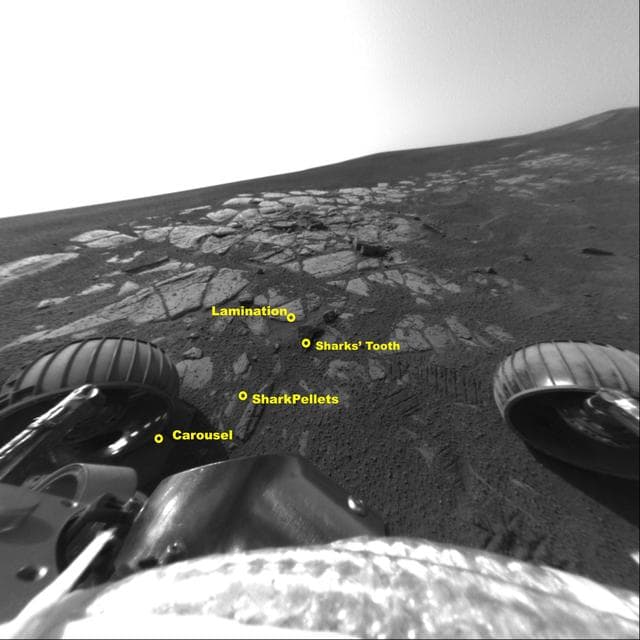NASA image: Opportunity Studies Bait in Shark Cage