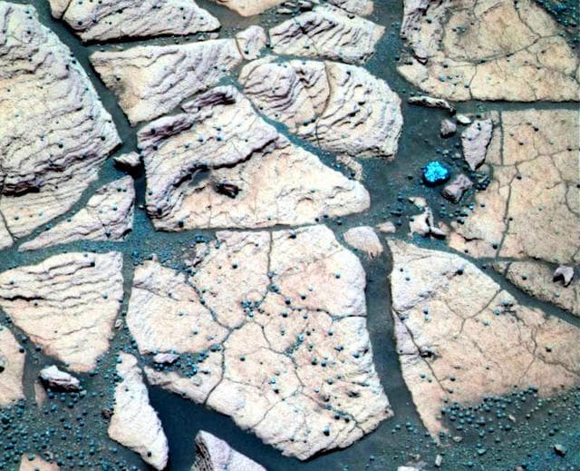 NASA image: Berries and Rock Share Common Origins