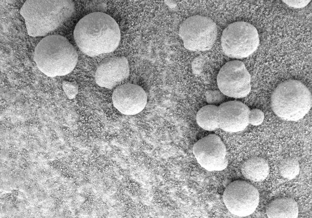 NASA image: Blueberry Triplets Born in Rock