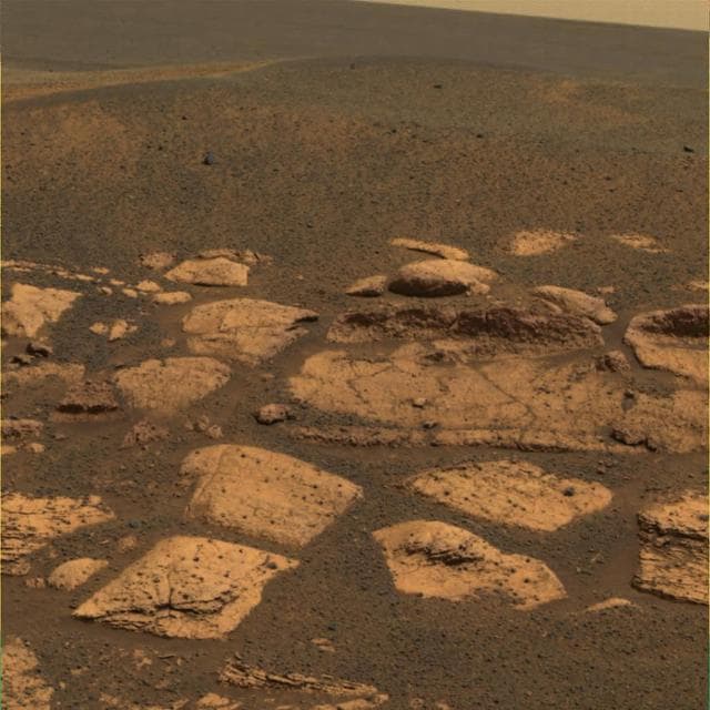 NASA image: Berries Here, There, Everywhere
