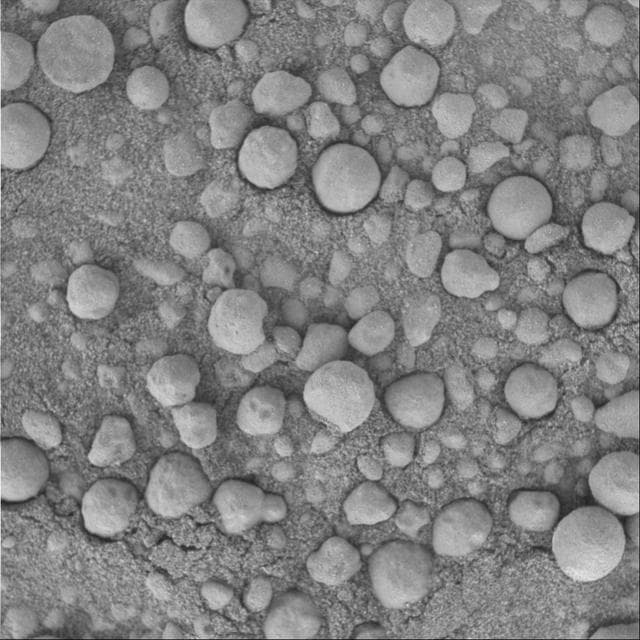 NASA image: Punaluu Under the Microscope