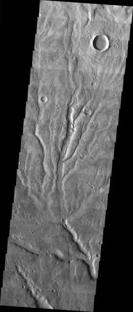 NASA image: Multiple Channels in Warrego Valles