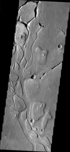 NASA image: Channels in Elysium Planitia