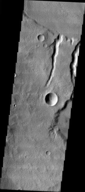 NASA image: Tinia Vallis Channel