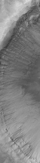 NASA image: Gullies in Crater Wall