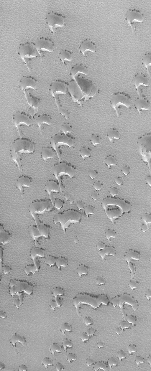 NASA image: Springtime Dunes, 2004