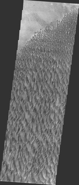 NASA image: Proctor Crater Dunes