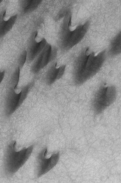 NASA image: Arkhangelsky Dunes
