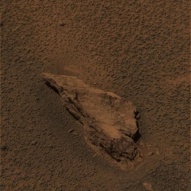 NASA image: A Lion of a Stone