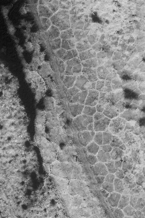 NASA image: High Latitude Polygons
