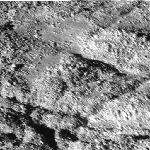 NASA image: Boulder-Strewn Surface -- Narrow Angle Camera View