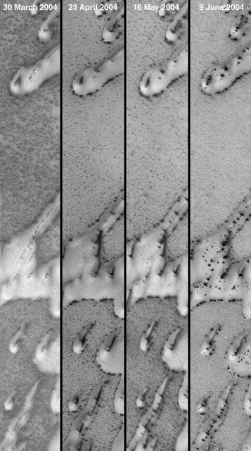 NASA image: 10 Weeks of Change