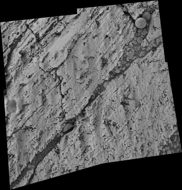 NASA image: Microscopic Image Inside Endurance