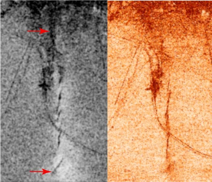 NASA image: Bam, Iran, Radar Interferometry -- Earthquake