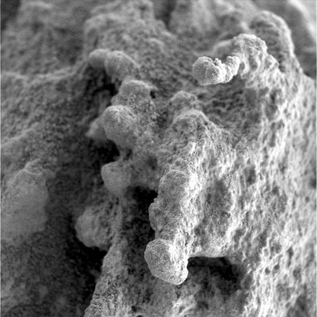 NASA image: A Pot of Gold Rich with Nuggets Sol 163