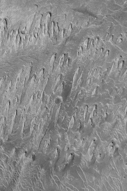 NASA image: Wind Erosion in Tithonium