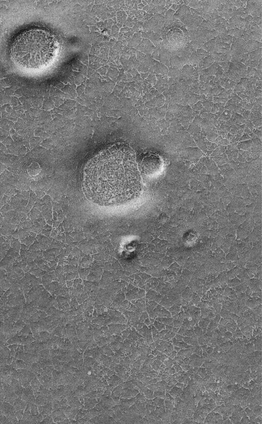 NASA image: High Latitude Polygons