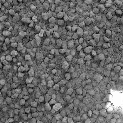 NASA image: Angular Grains of Sand Hint at Short Transport Distance