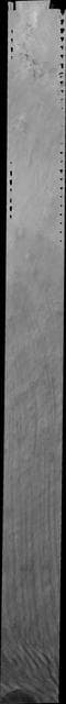 NASA image: Cloud-Ground Interaction