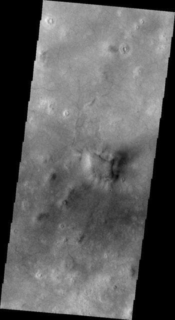 NASA image: Plentiful Dust Devils