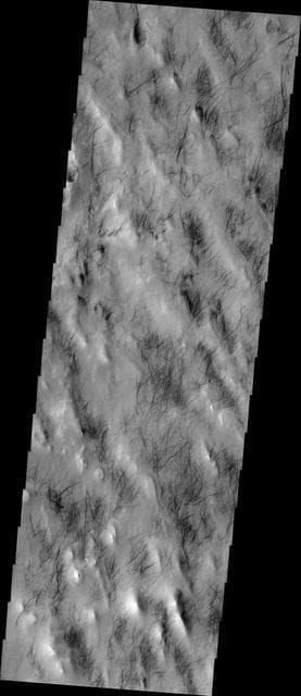 NASA image: Southern Dust Devils