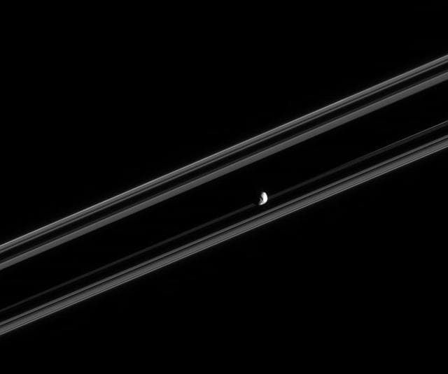 NASA image: Janus Rides the Rings