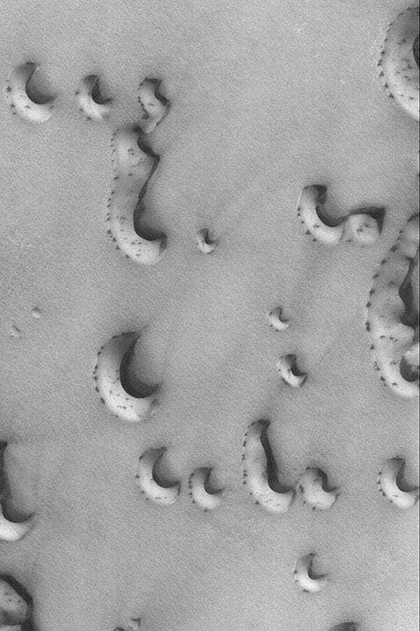 NASA image: Spotty Dunes