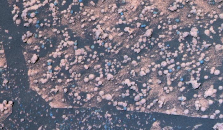 NASA image: Two Types of Round Pebbles in Endurance