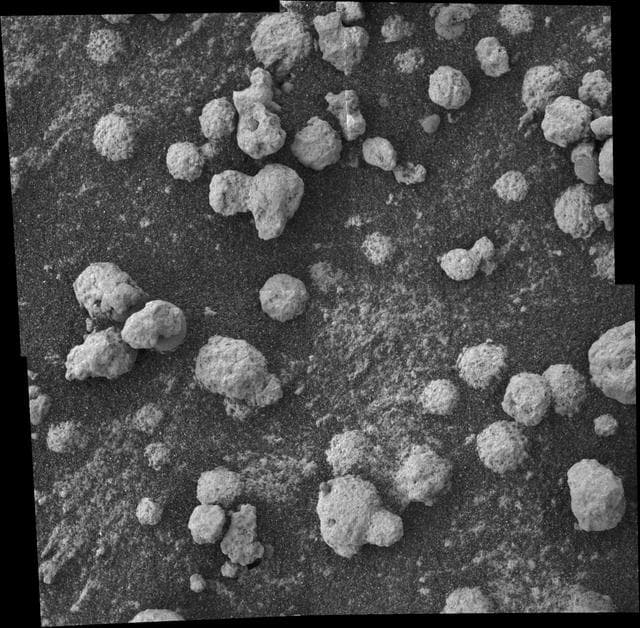 NASA image: Blueberries and Popcorn