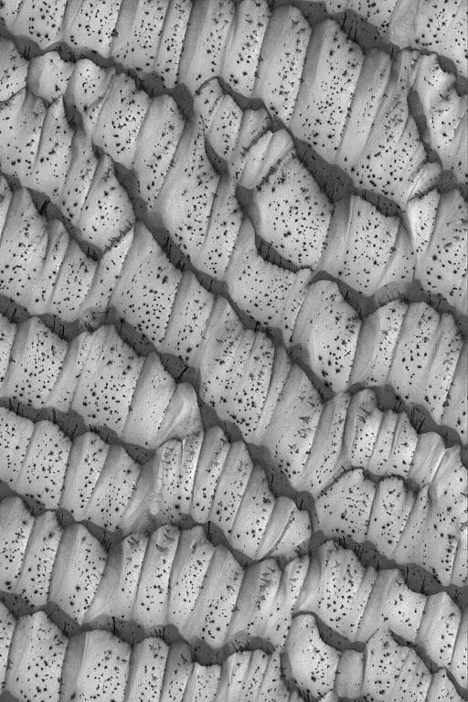 NASA image: Polar Dunes, Spotted