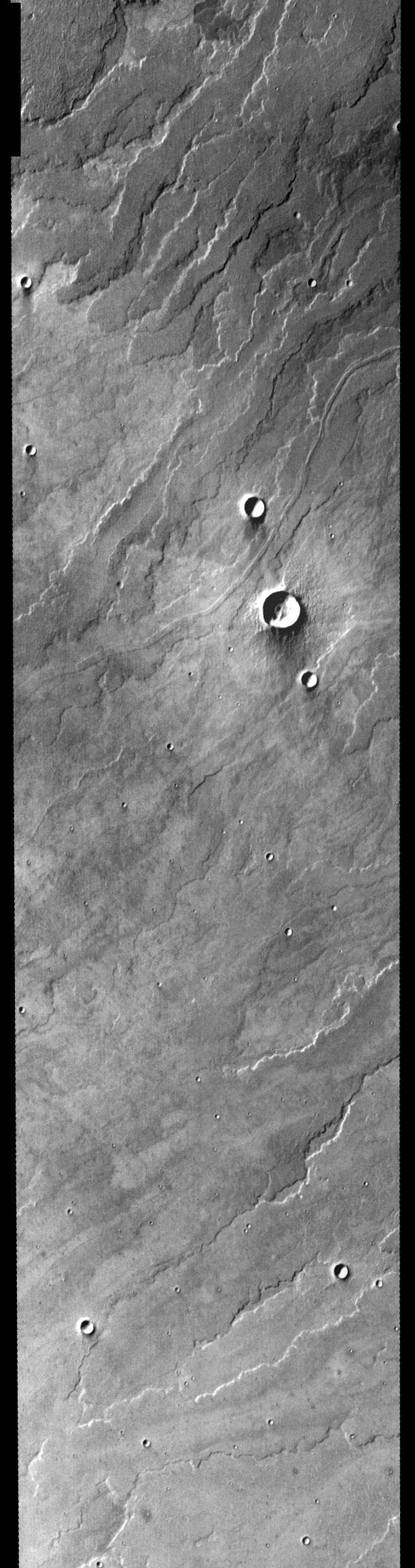 NASA image: Daedalia Planum