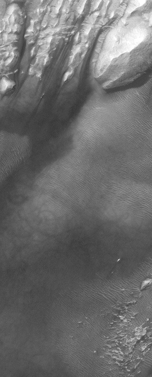 NASA image: Rippled Dune