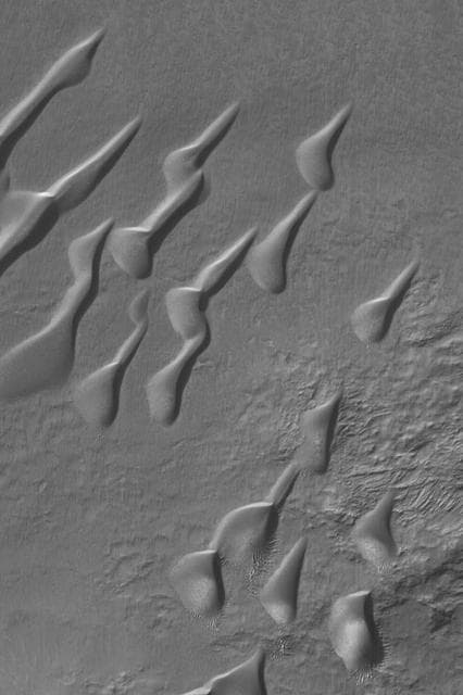 NASA image: Mid-latitude Dune Field