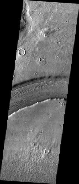 NASA image: Reull Vallis