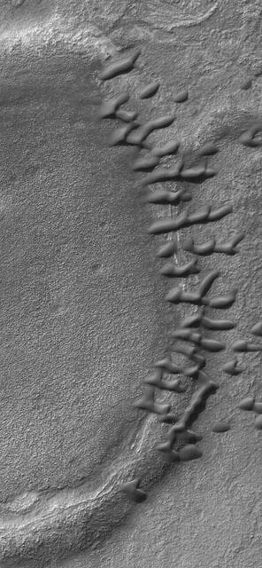 NASA image: Dunes on a Ridge