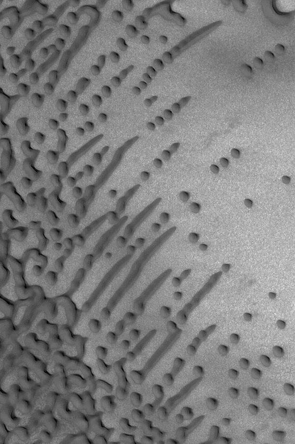 NASA image: Dune Variety